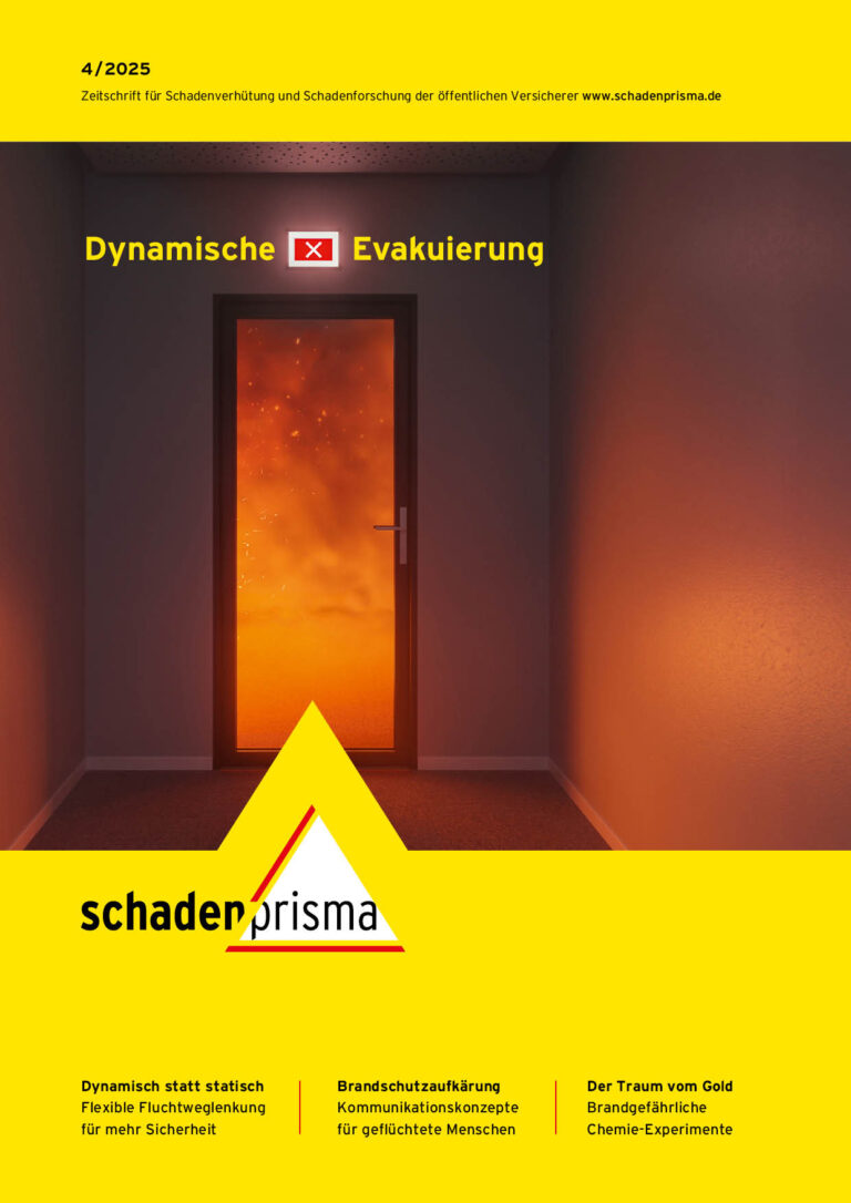 Cover Schadenprisma 04 2025