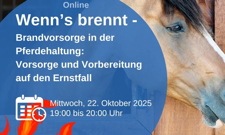 brandschutz pferde