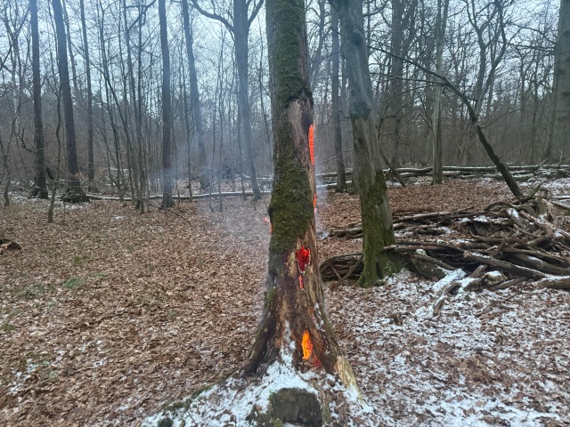 20260105 Brand Karlstein 1