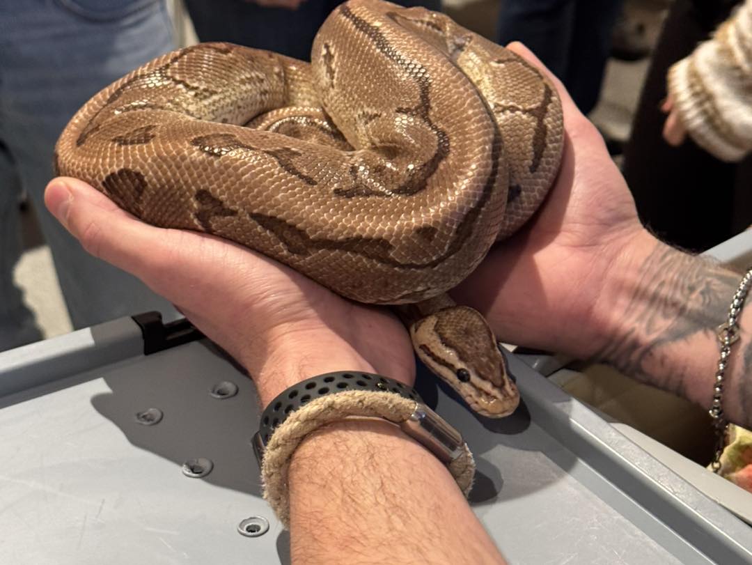 20260205 FF Mainaschaff Ausbildung Kleintierrettung Tiersicherung 3