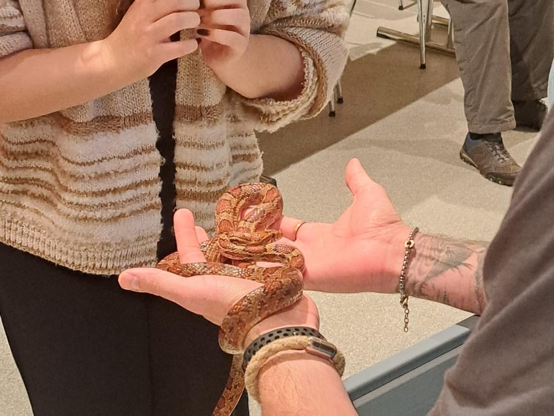 20260205 FF Mainaschaff Ausbildung Kleintierrettung Tiersicherung 4