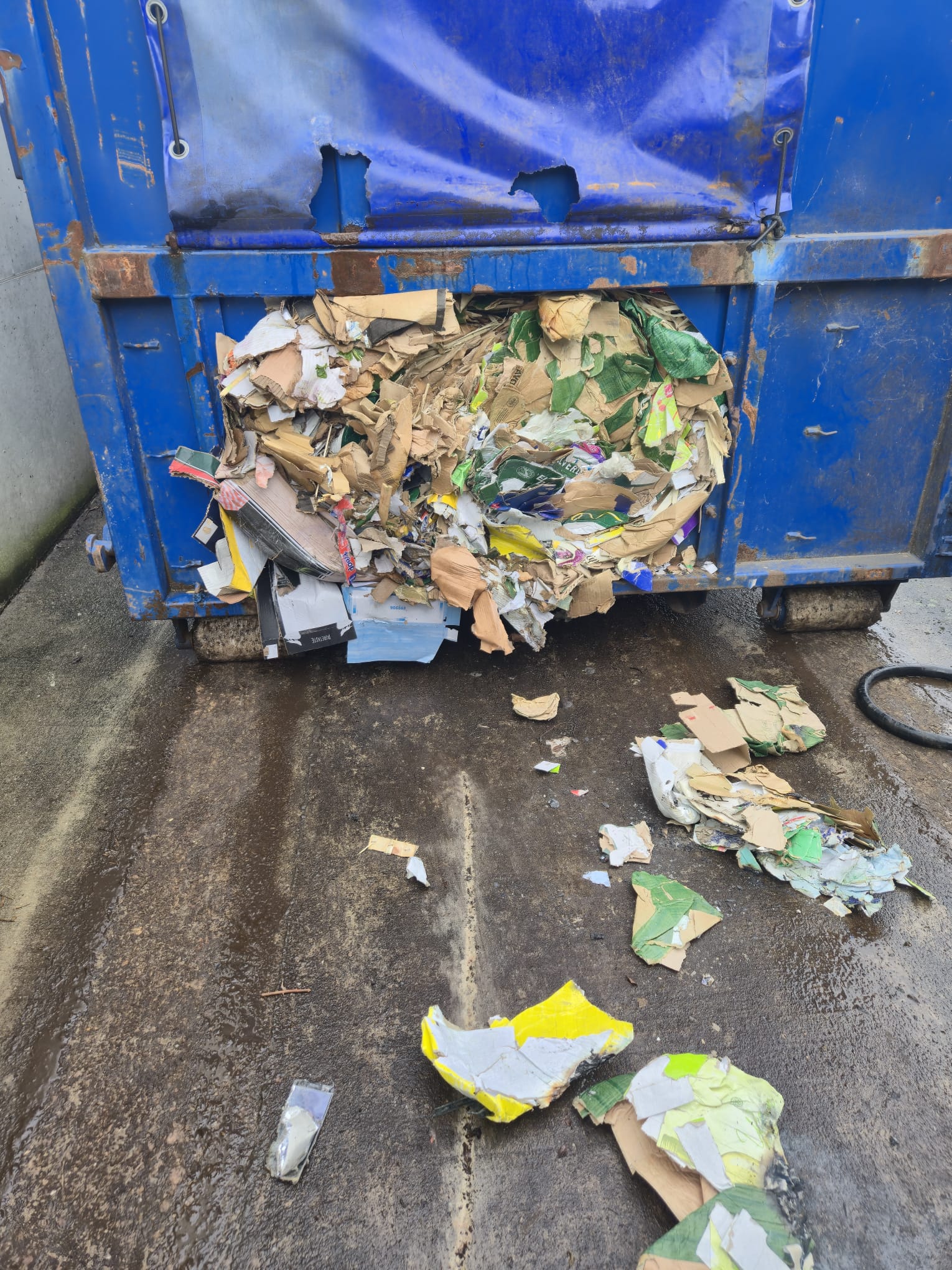 20260224 Brand Haibach 6