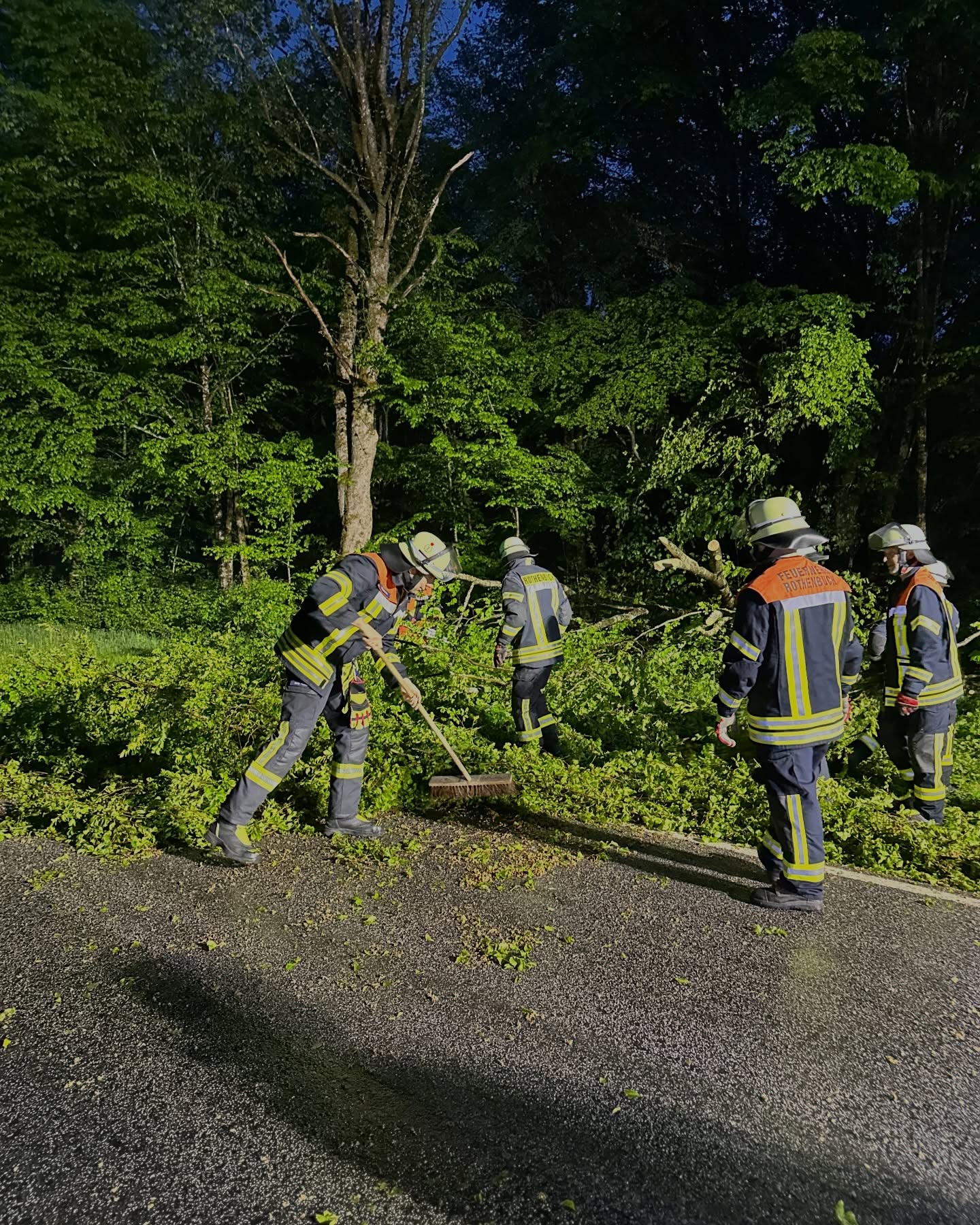 20260505 Baum auf Straße Rothenbuch 2