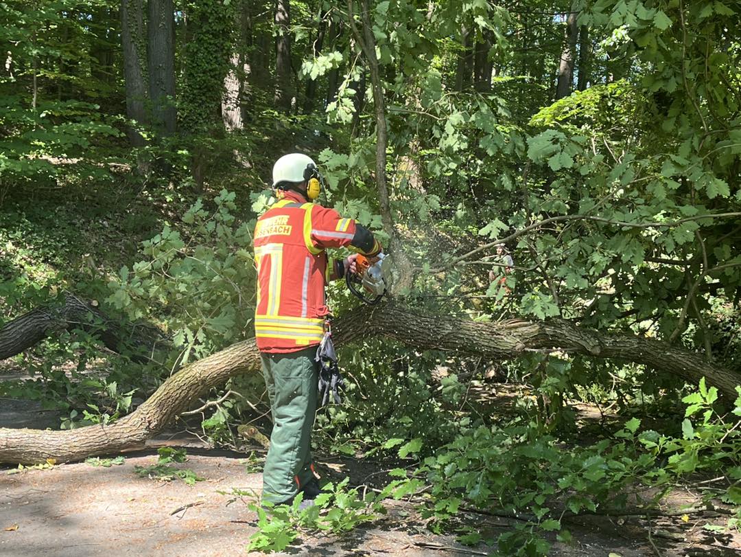 20260523 Baum droht auf Straße zu fallen Bessenbach 3