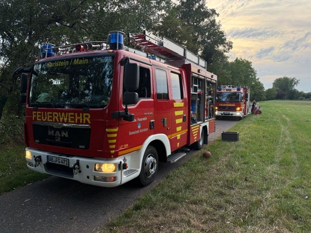 20260830 Tierrettung auf dem Main Karlstein 1