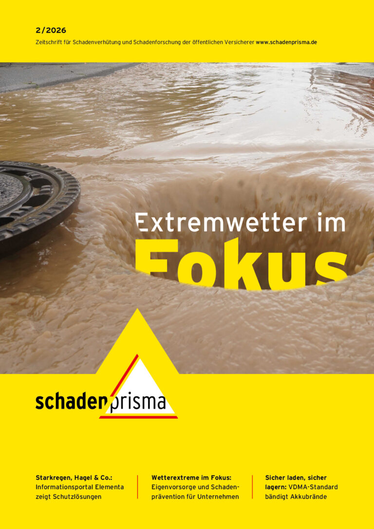 Seite 1 Schadensprisma 2 2026