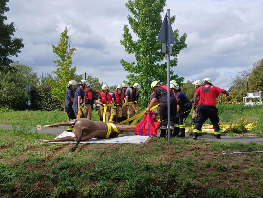 547377814 1607805124005663 4443303869143451813 n