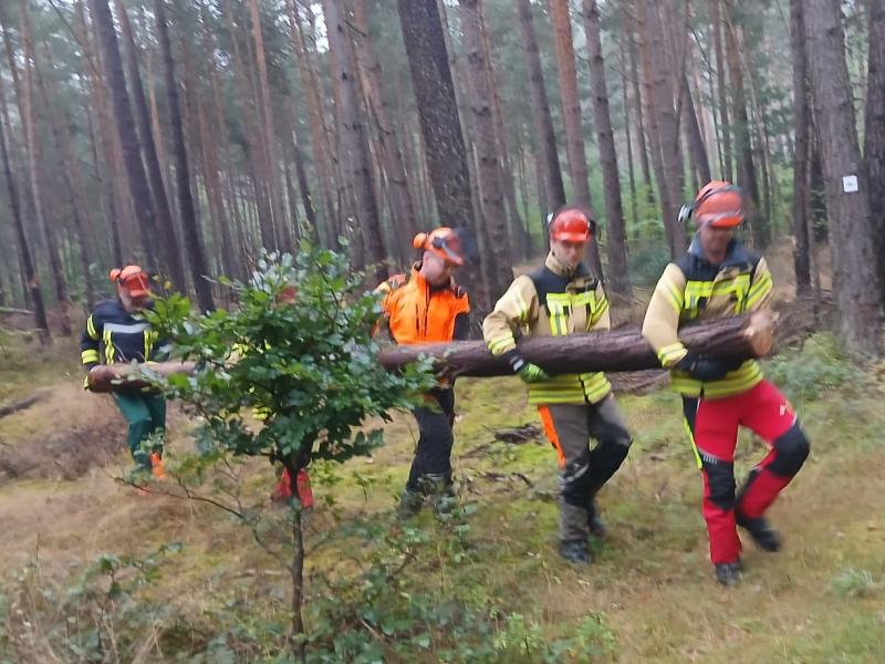 30ba15ea 060c 4fc0 a48b c520cd41c8af