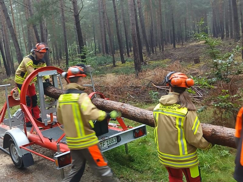 d6559c58 42ce 4614 bf4d d8ed58015f96