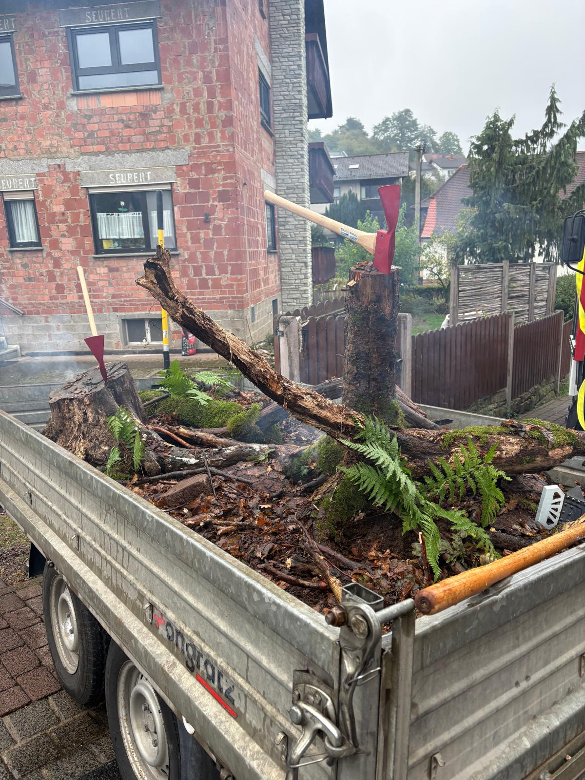 eabd3c79 b505 4cf8 9dc5 fe9663977571