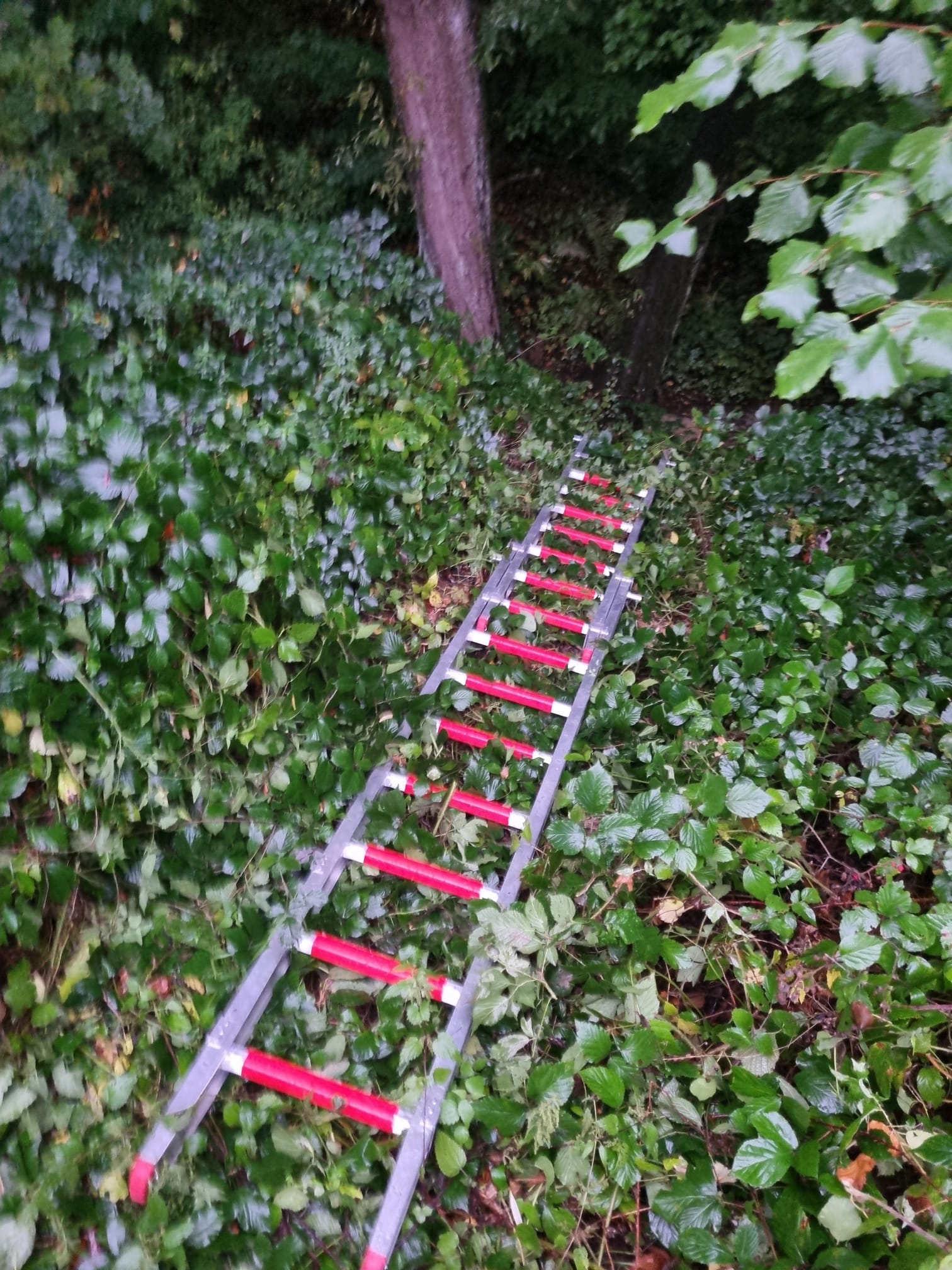 d106f67a 21da 46c7 92c4 8339574930ef